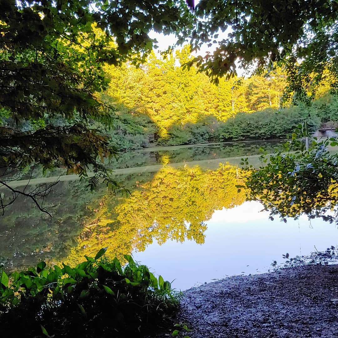 Chattahoochee River