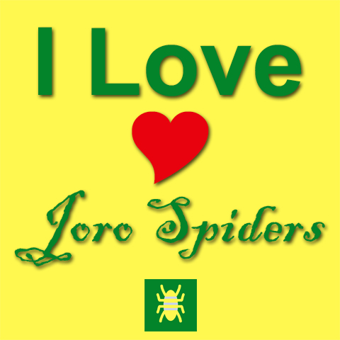 Joro Spider in the Sun