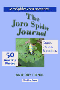 The Joro Spider Journal: The Blue Book